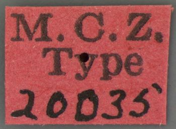 Media type: image;   Entomology 20035 Aspect: labels
